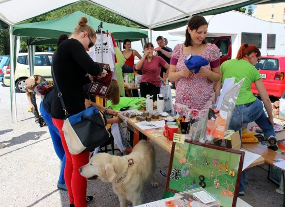 Z nakupi društvenih izdelkov in donacijami so zbrali še 560 evrov. Foto: Nuša Ema Miklavec